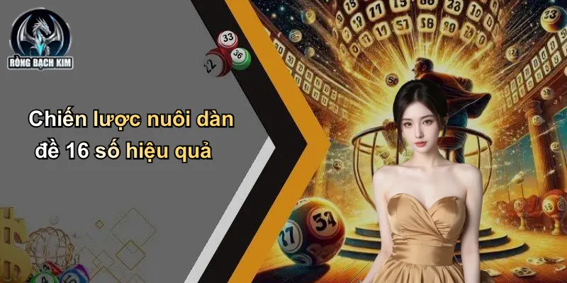 Chiến lược nuôi dàn đề 16 số hiệu quả