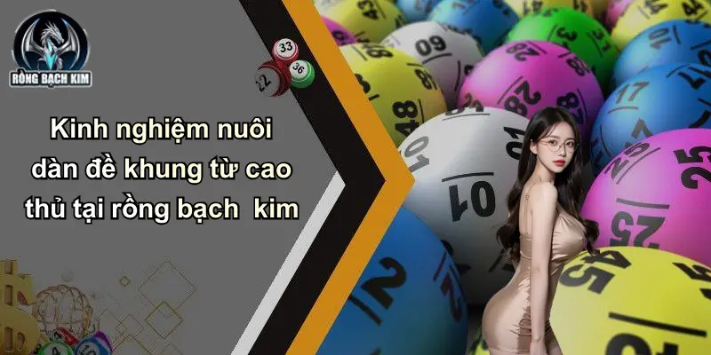 Kinh nghiệm nuôi dàn đề khung từ cao thủ tại rồng bạch kim