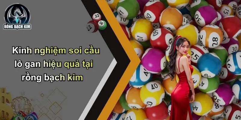 Kinh nghiệm soi cầu lô gan hiệu quả tại rồng bạch kim