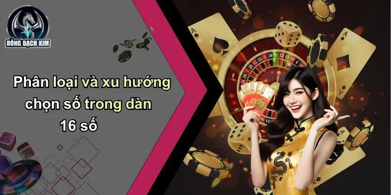 Phân loại và xu hướng chọn số trong dàn 16 số
