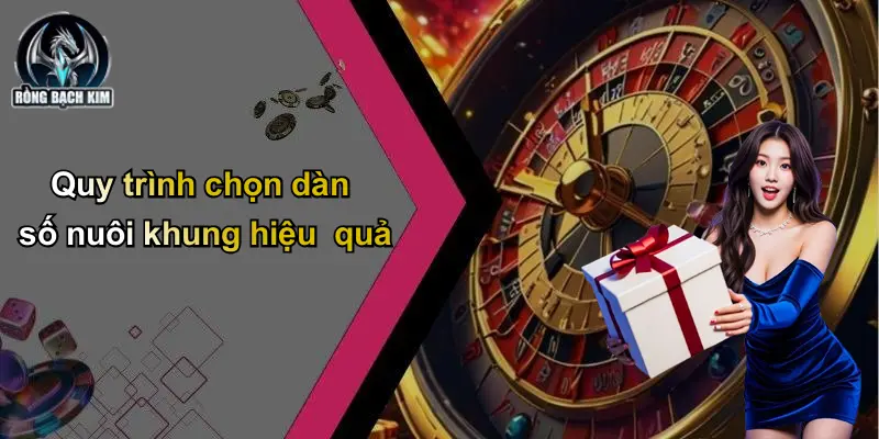 Quy trình chọn dàn số nuôi khung hiệu quả