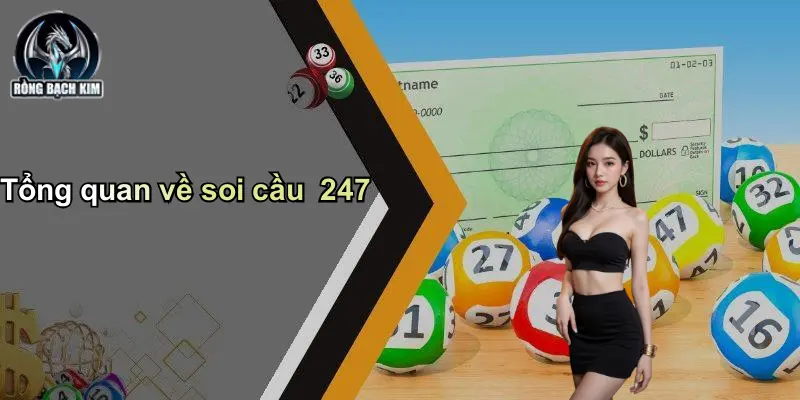 Tổng quan về soi cầu 247