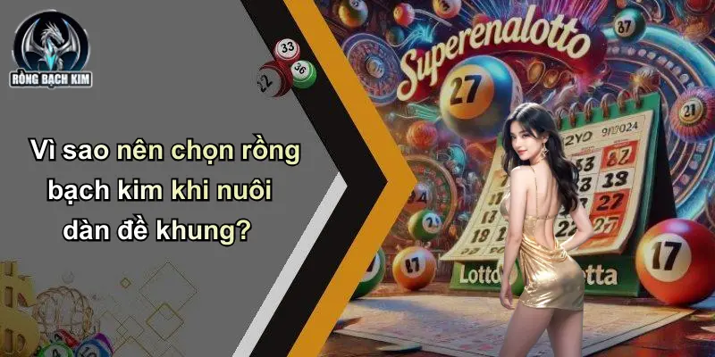 Vì sao nên chọn rồng bạch kim khi nuôi dàn đề khung?