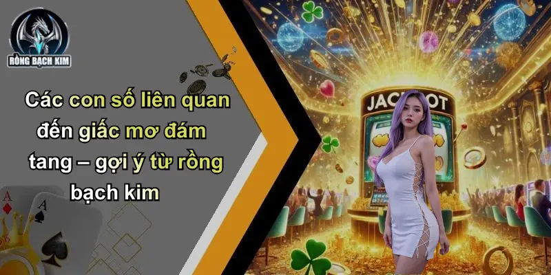Các con số liên quan đến giấc mơ đám tang – gợi ý từ rồng bạch kim