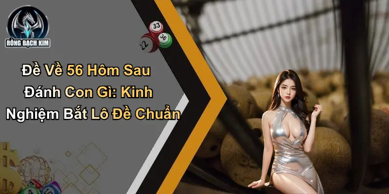 Đề Về 56 Hôm Sau Đánh Con Gì: Kinh Nghiệm Bắt Lô Đề Chuẩn
