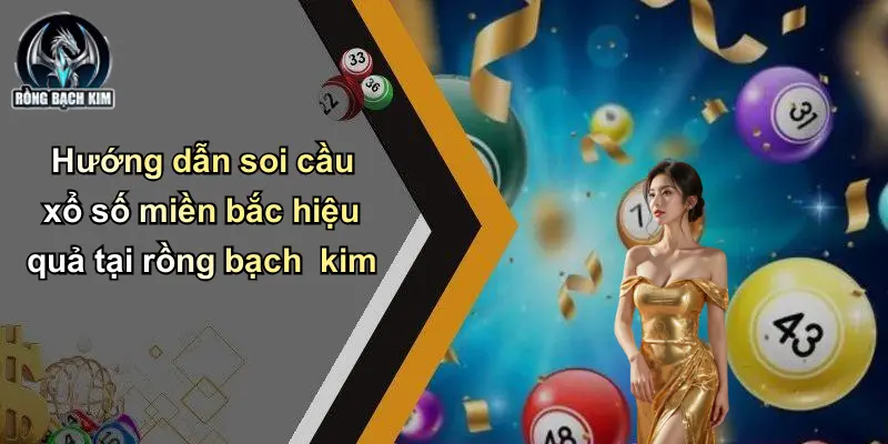 Hướng dẫn soi cầu xổ số miền bắc hiệu quả tại rồng bạch kim