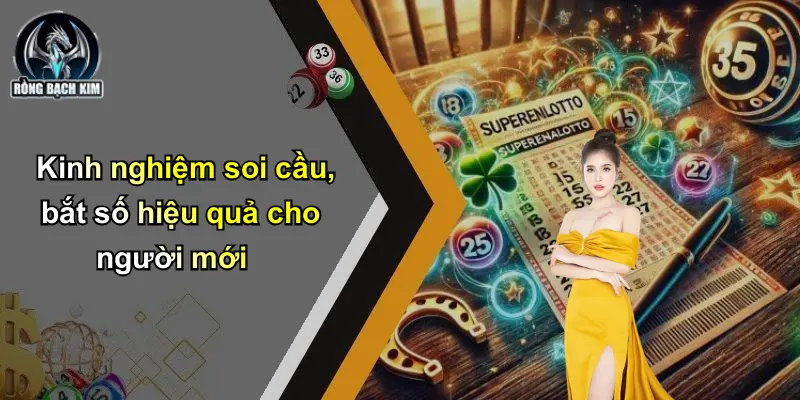 Kinh nghiệm soi cầu, bắt số hiệu quả cho người mới