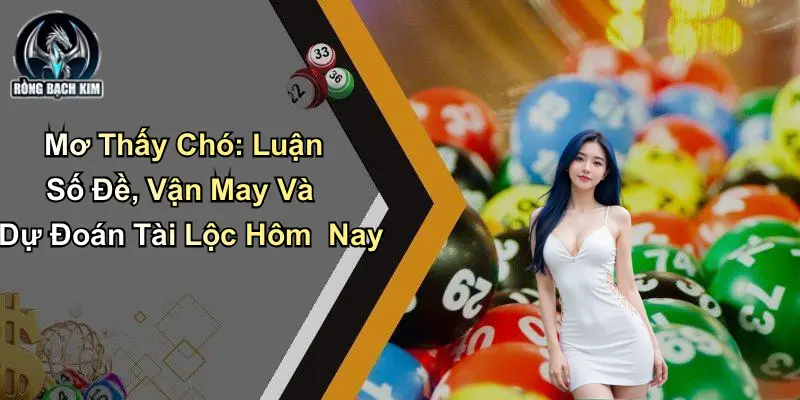 Mơ Thấy Chó: Luận Số Đề, Vận May Và Dự Đoán Tài Lộc Hôm Nay