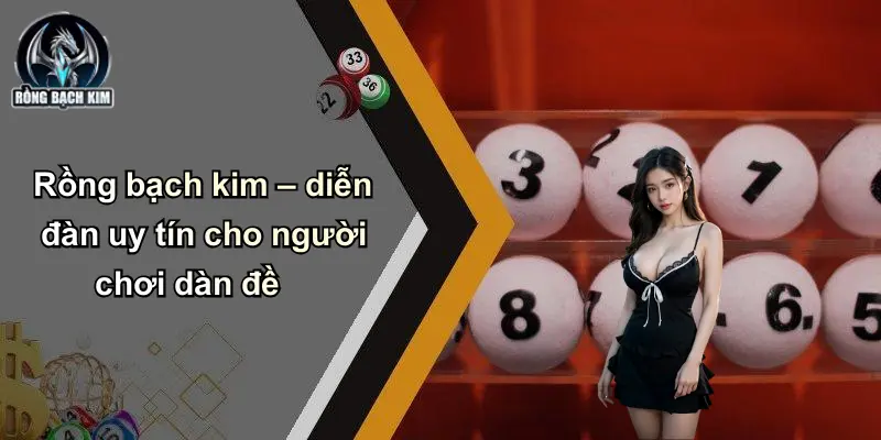 Rồng bạch kim – diễn đàn uy tín cho người chơi dàn đề