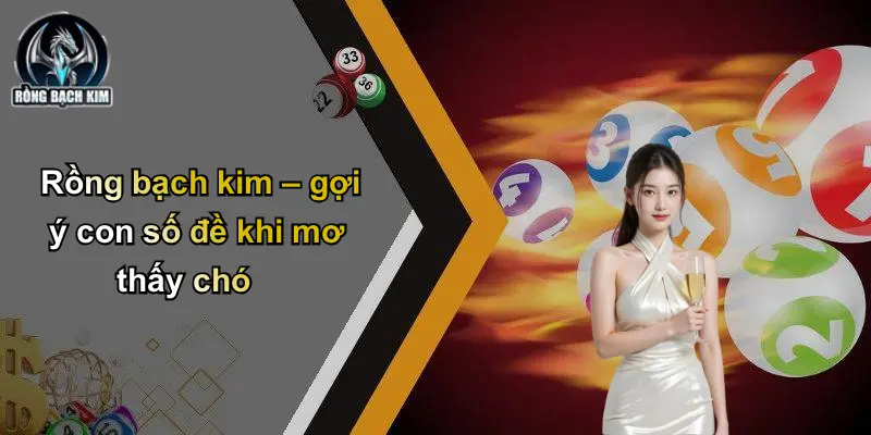 Rồng bạch kim – gợi ý con số đề khi mơ thấy chó