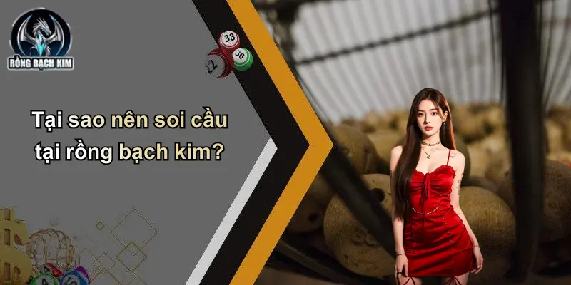 Tại sao nên soi cầu tại rồng bạch kim?