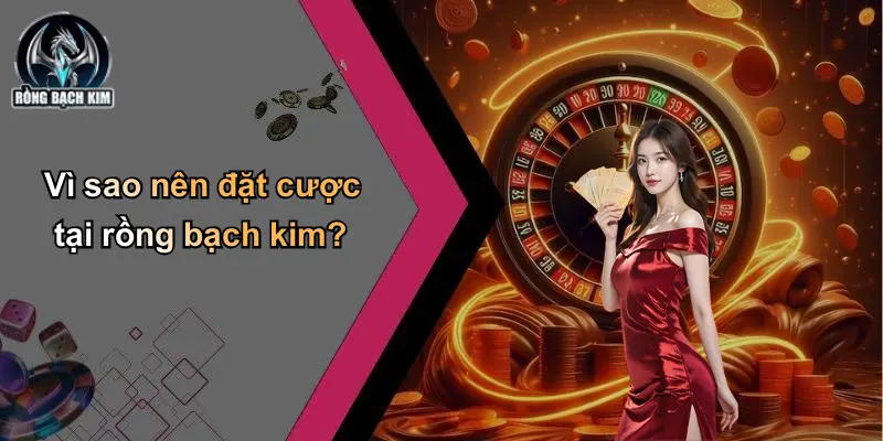 Vì sao nên đặt cược tại rồng bạch kim?